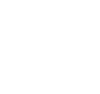 FER White Logo